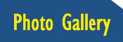 Photo Gallery